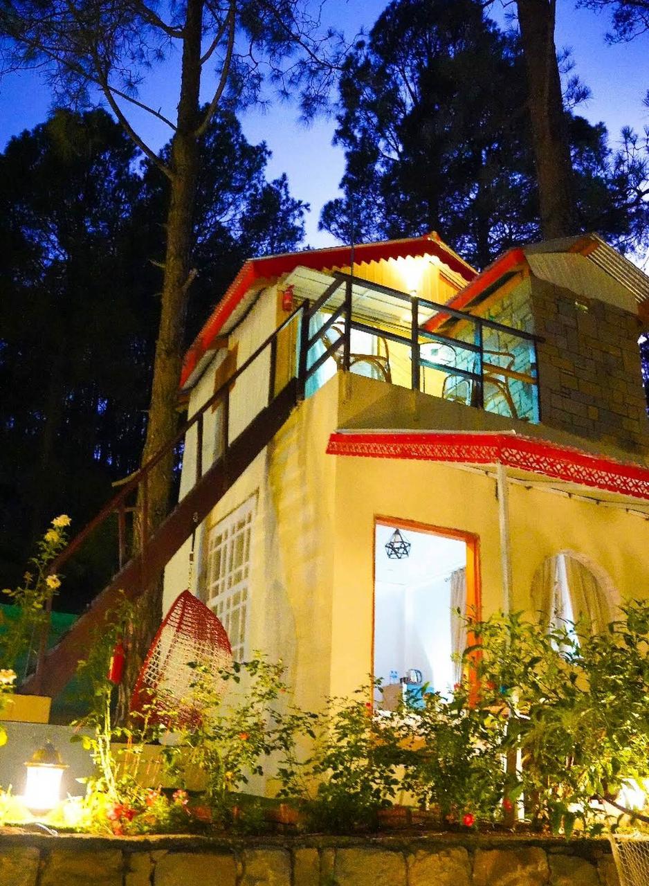 Pine Tree House 4