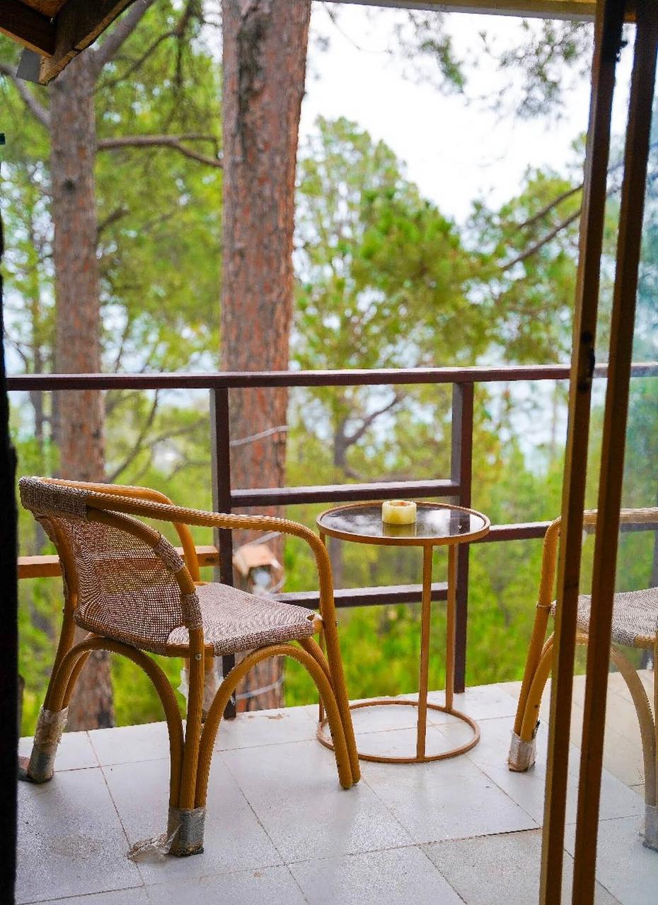 Pine Tree House 3