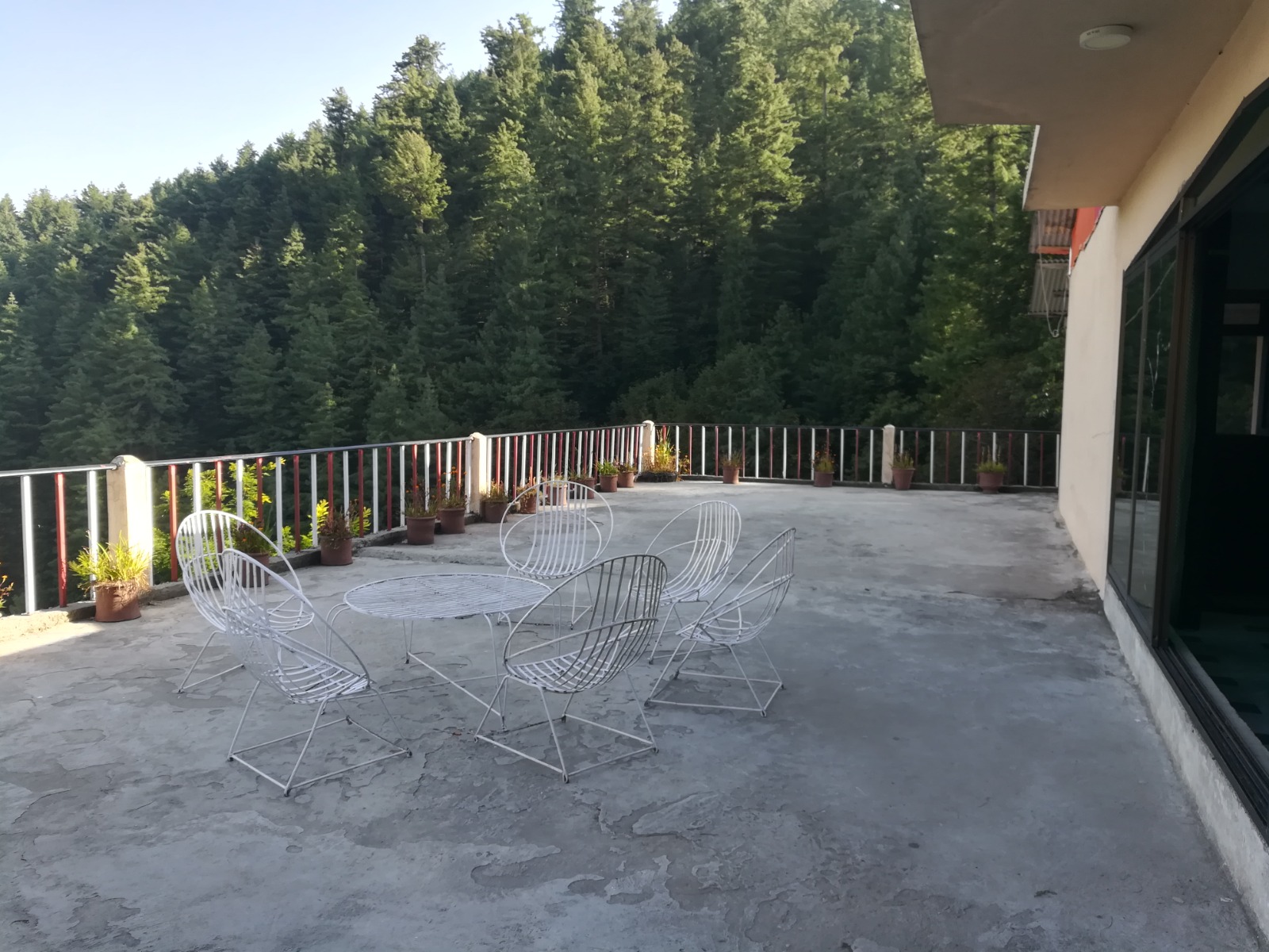 Eagle Nest