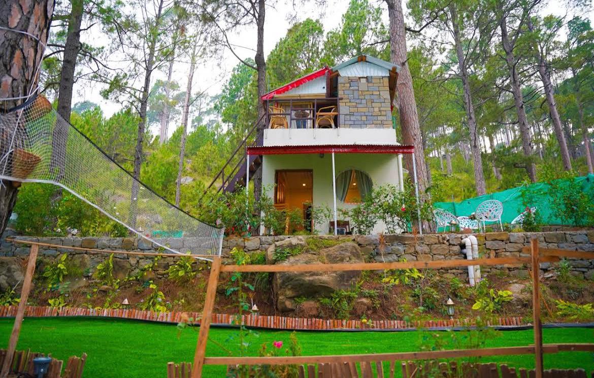 Pine Tree House