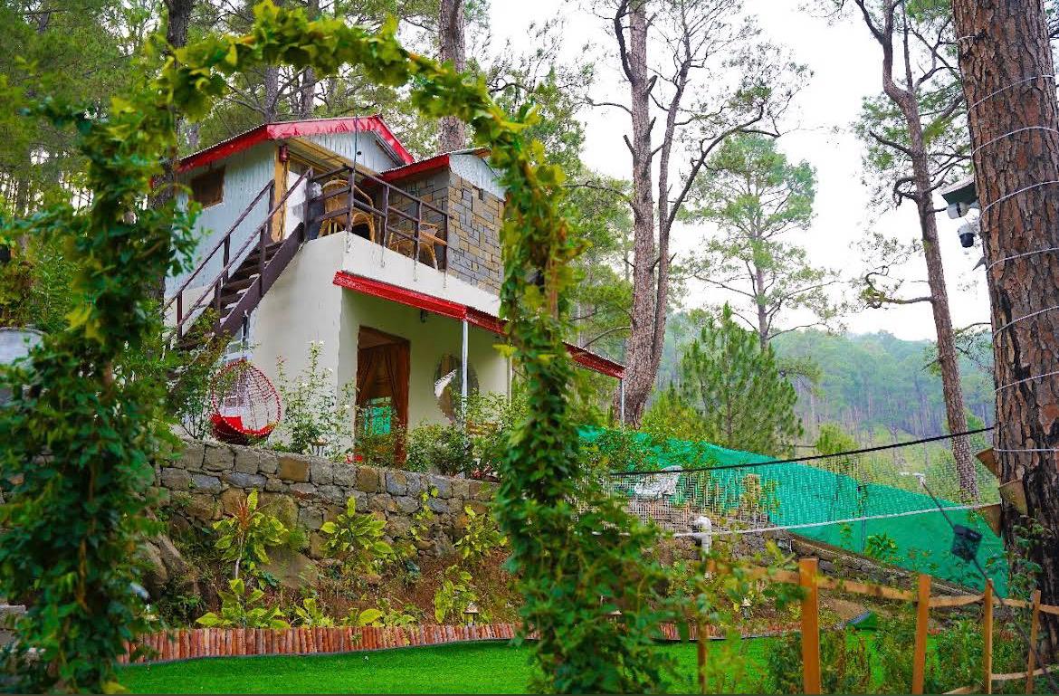 Pine Tree House 5
